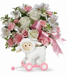 Teleflora's Sweet Little Lamb - Baby Pink from Backstage Florist in Richardson, Texas
